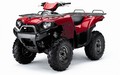Picture of Recalled All Terrain Vehicle