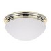 Picture of Recalled Ceiling Light Fixture