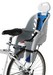 Picture of Recalled Bicycle Child Carrier